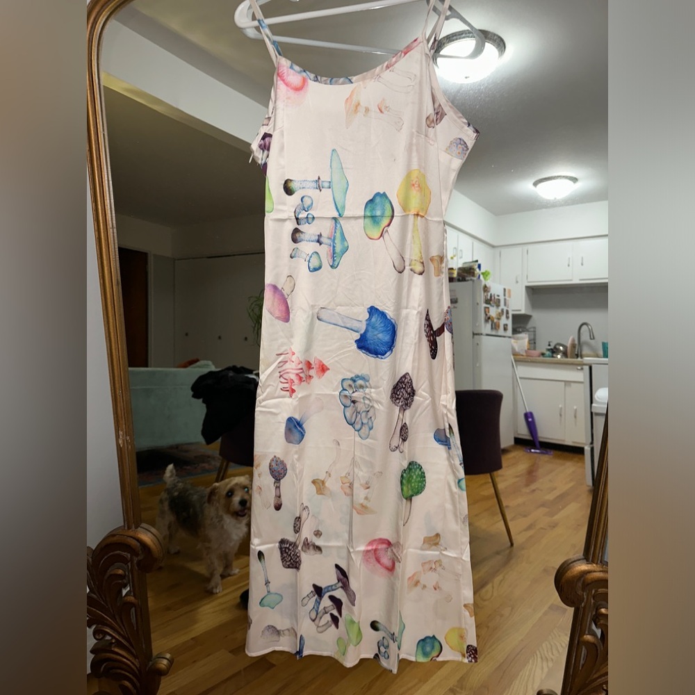 Mushroom midi dress. Last picture is not the same dress just similar to it.
